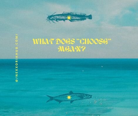 Chose or Choose