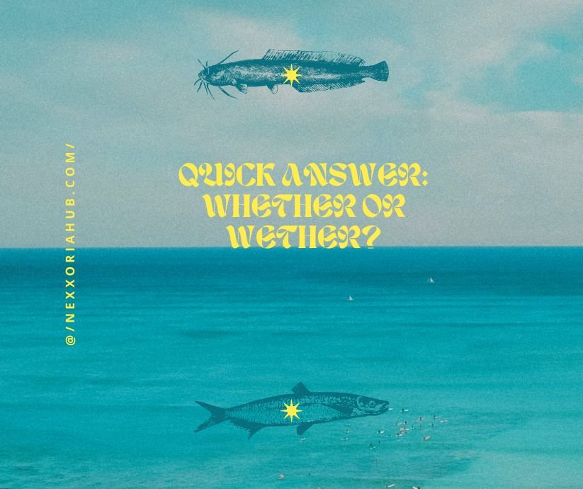Whether or Wether